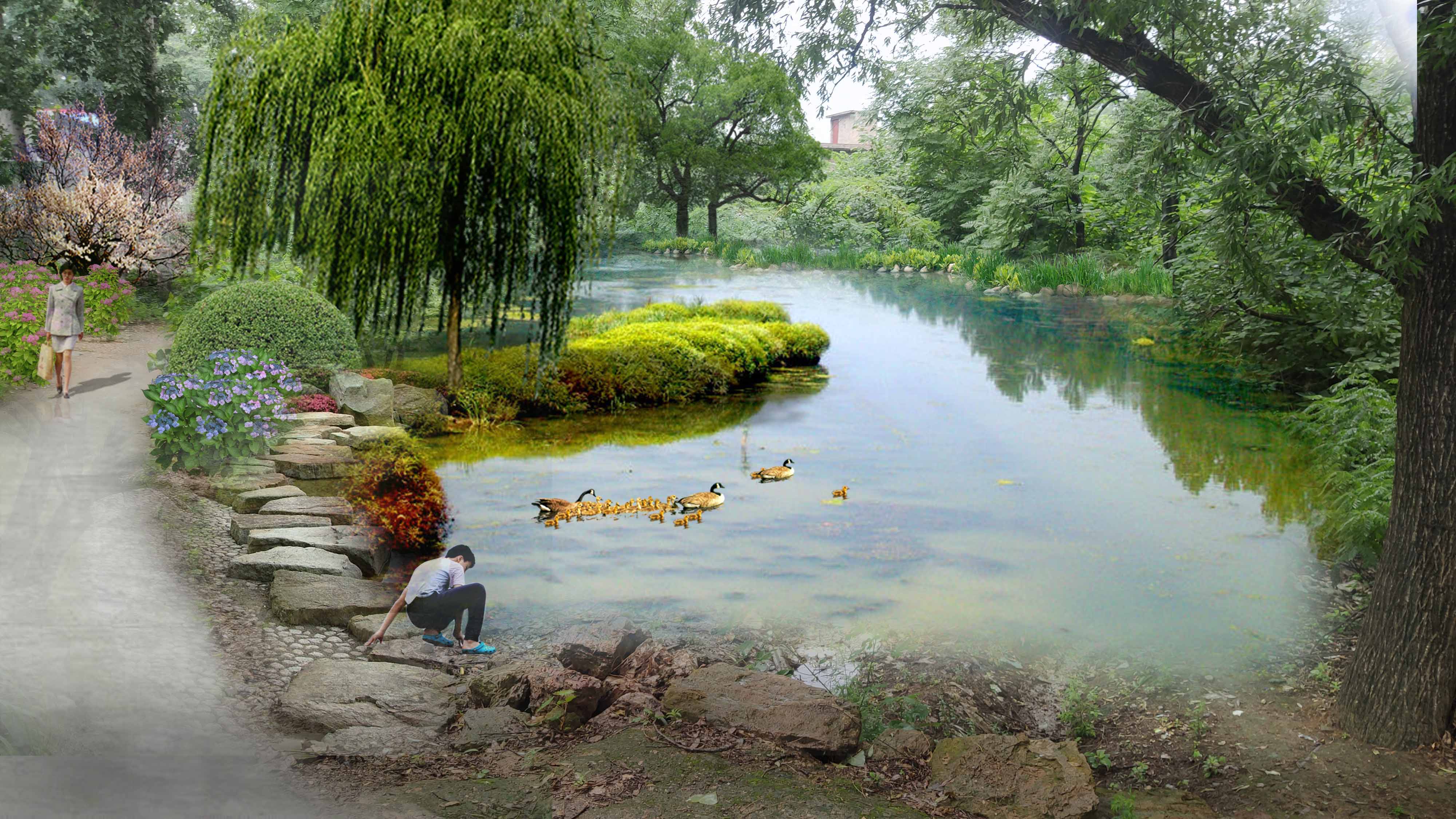 鸭绿沙塘鳢-辽宁省水生经济动植物-图片