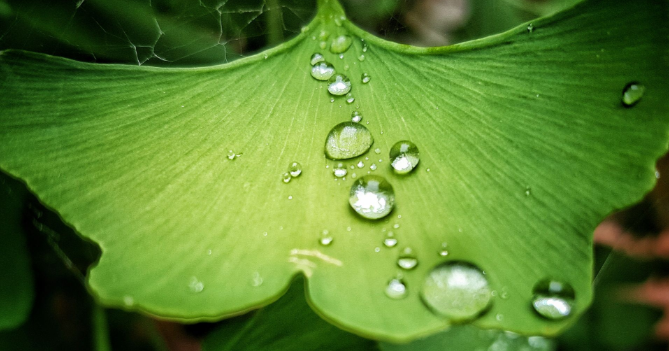 癸水为雨露之水,本身弱的,庚申壬癸金一般扶不起,因为阴干从势无情义