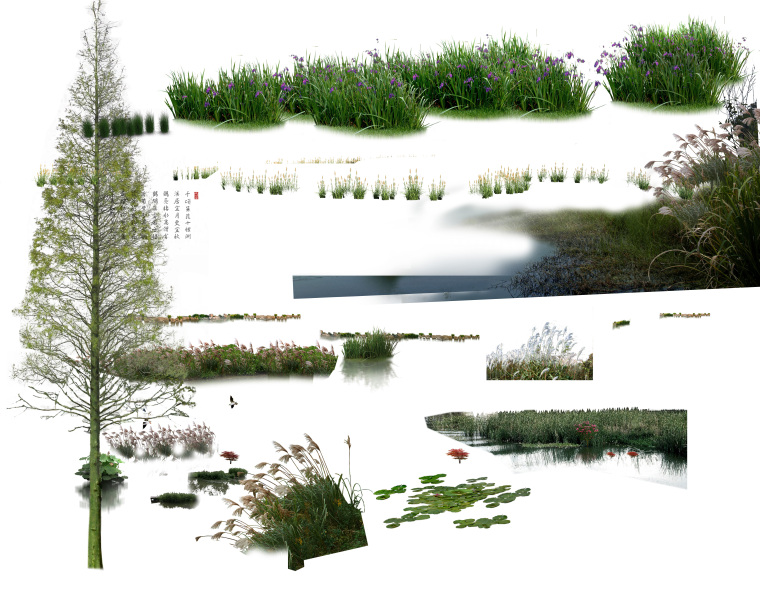 河岸水生植物cad图资料下载-6套景观-水生植物PSD素材