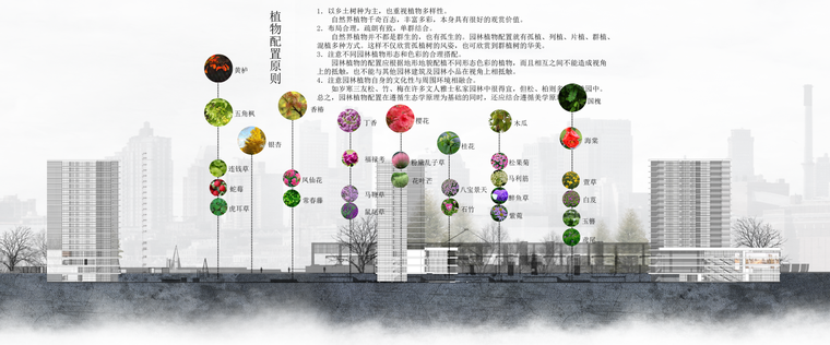 6套园林景观植物分析psd素材