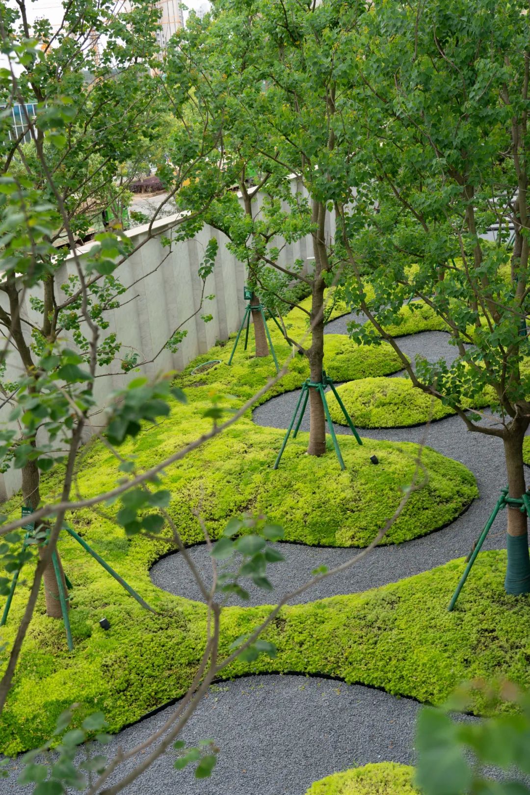 [分享]树池创意,玩法真多!