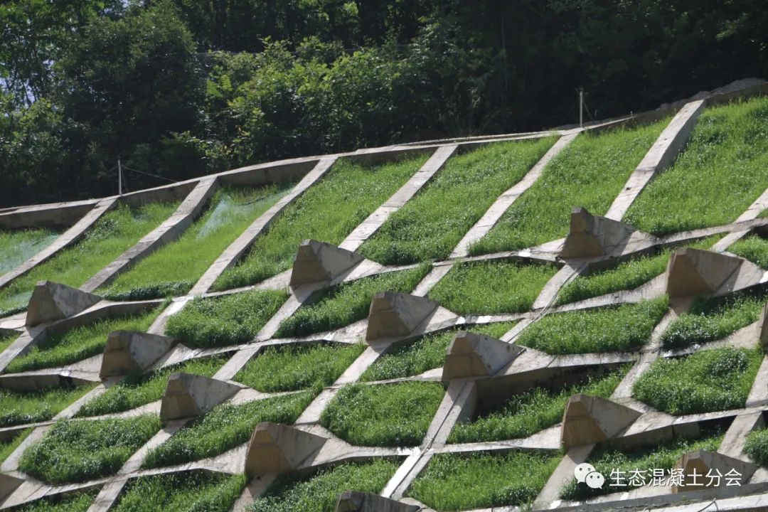 [分享]水利水运工程生态混凝土的创新设计与应用!