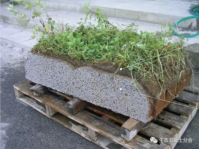 [分享]水利水运工程生态混凝土的创新设计与应用!