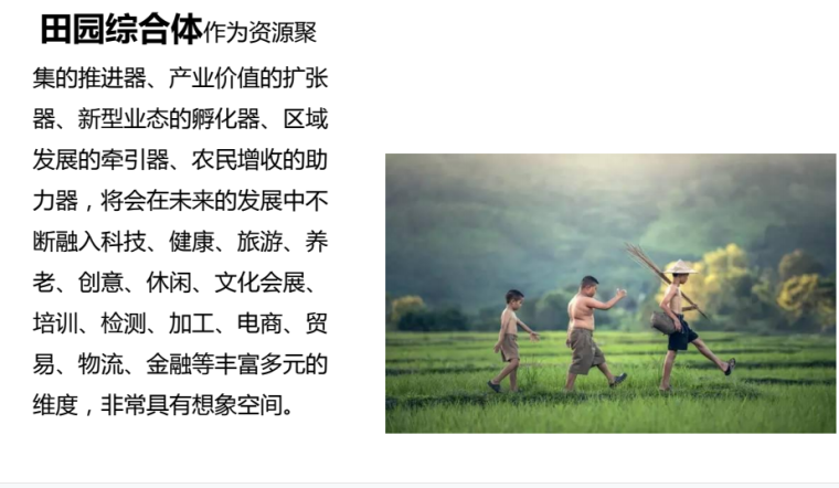 田园综合体的全程操盘内容节点课件 (3).png