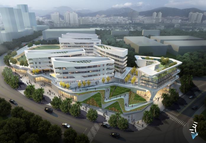[深圳]鱼骨形小学 中学建筑方案文本pdf2019-教育建筑-筑龙建筑设计
