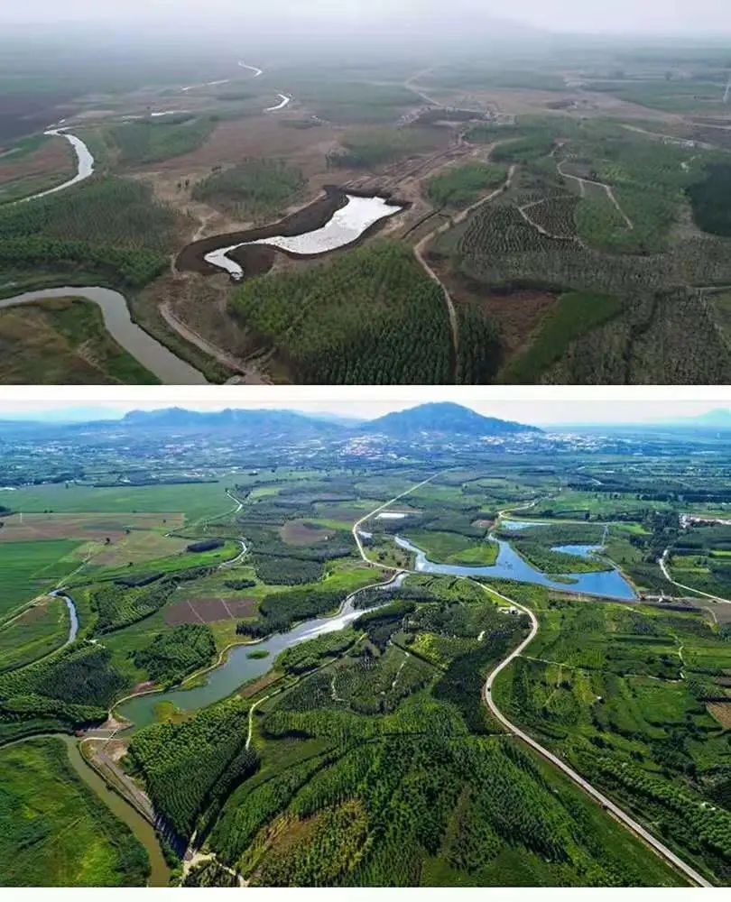 中国特色的生态修复典型案例