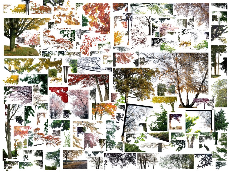 英国冰晶之树景观资料下载-景观前景树PSD素材