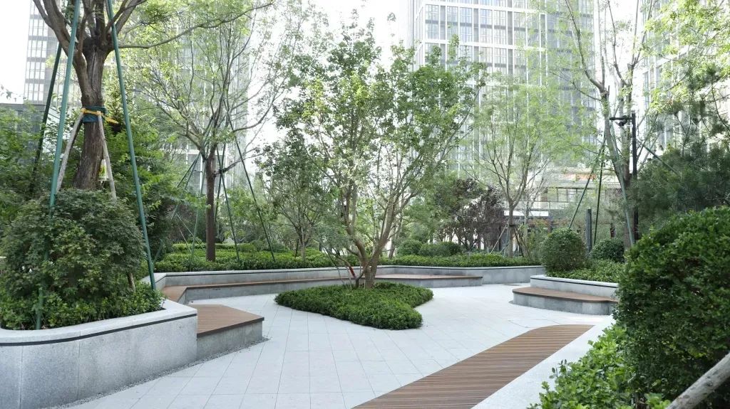 重获自我认识,一路溪水长流鸟语花香…… 通过树阵广场和全息投影灯