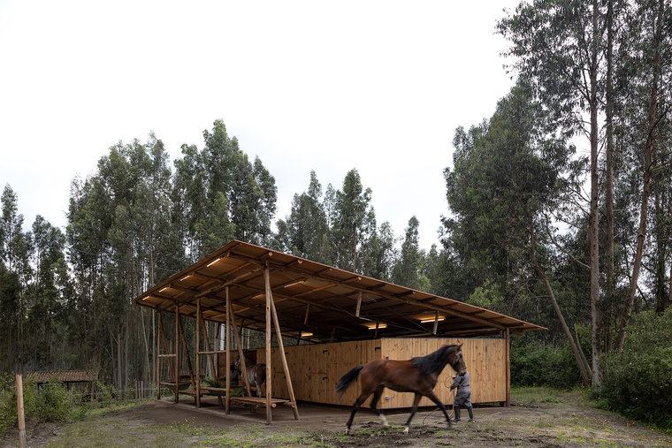 厄瓜多尔圣何塞马厩