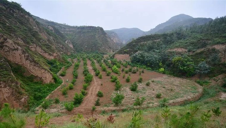 施工安全度汛措施方案资料下载-淤地坝安全度汛不可轻视