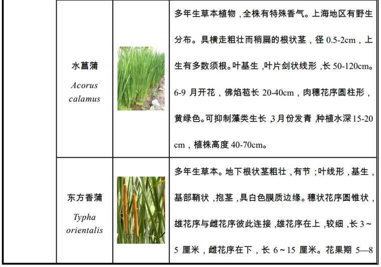 水生植物种植种类选择及特性表3.png