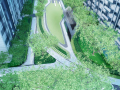 [杭州]都市现代简约高端住宅景观设计方案