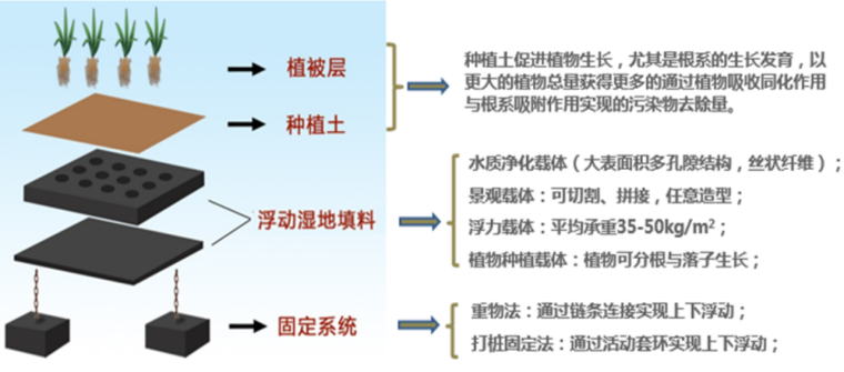 浮动湿地结构示意图.png