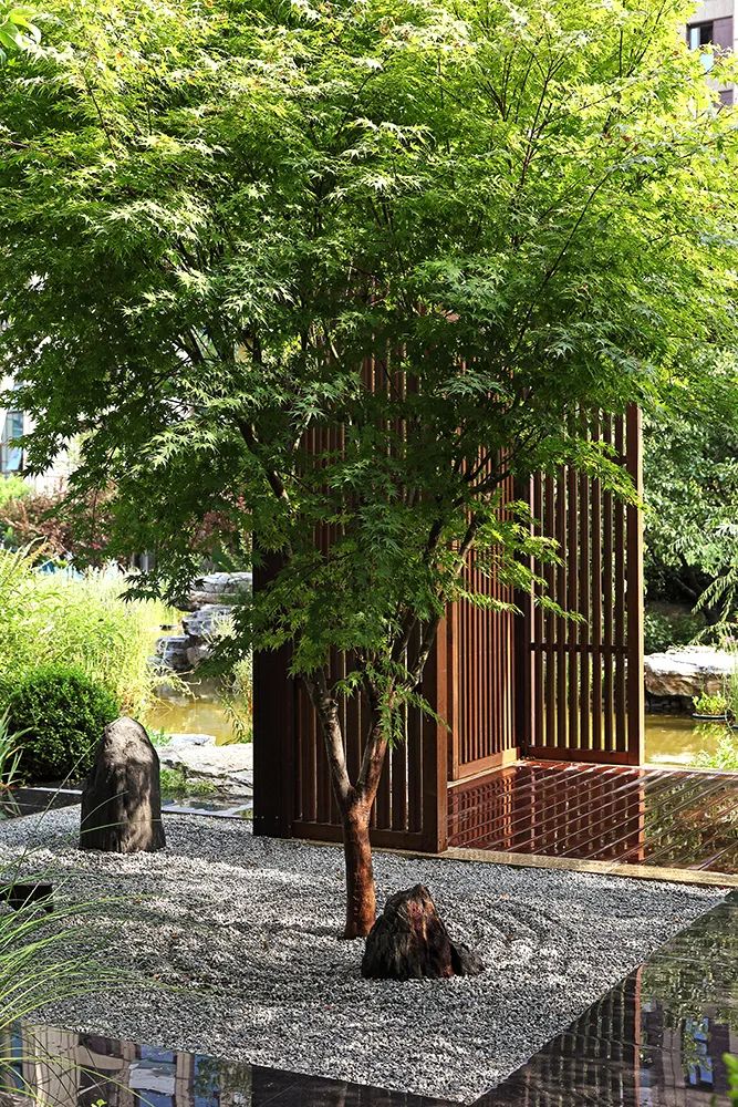 禅意花园里植物的那些事-景观设计-筑龙园林景观论坛