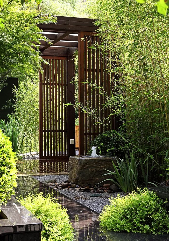 禅意花园里植物的那些事-景观设计-筑龙园林景观论坛