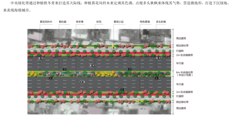 中央绿化带平面图.png