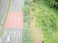 公路沿线绿化景观改造工程可行性研究报告