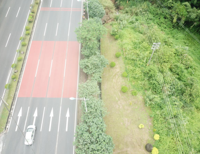 公路沿线景观处理资料下载-公路沿线绿化景观改造工程可行性研究报告