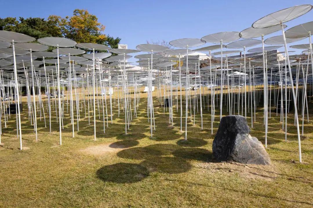 水与森林 | the surface 互动艺术装置-景观设计-筑龙园林景观论坛