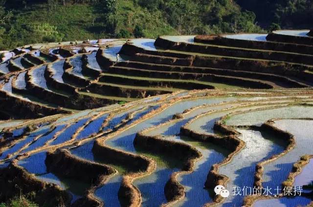 带你认识下这75种水保工程措施！_20