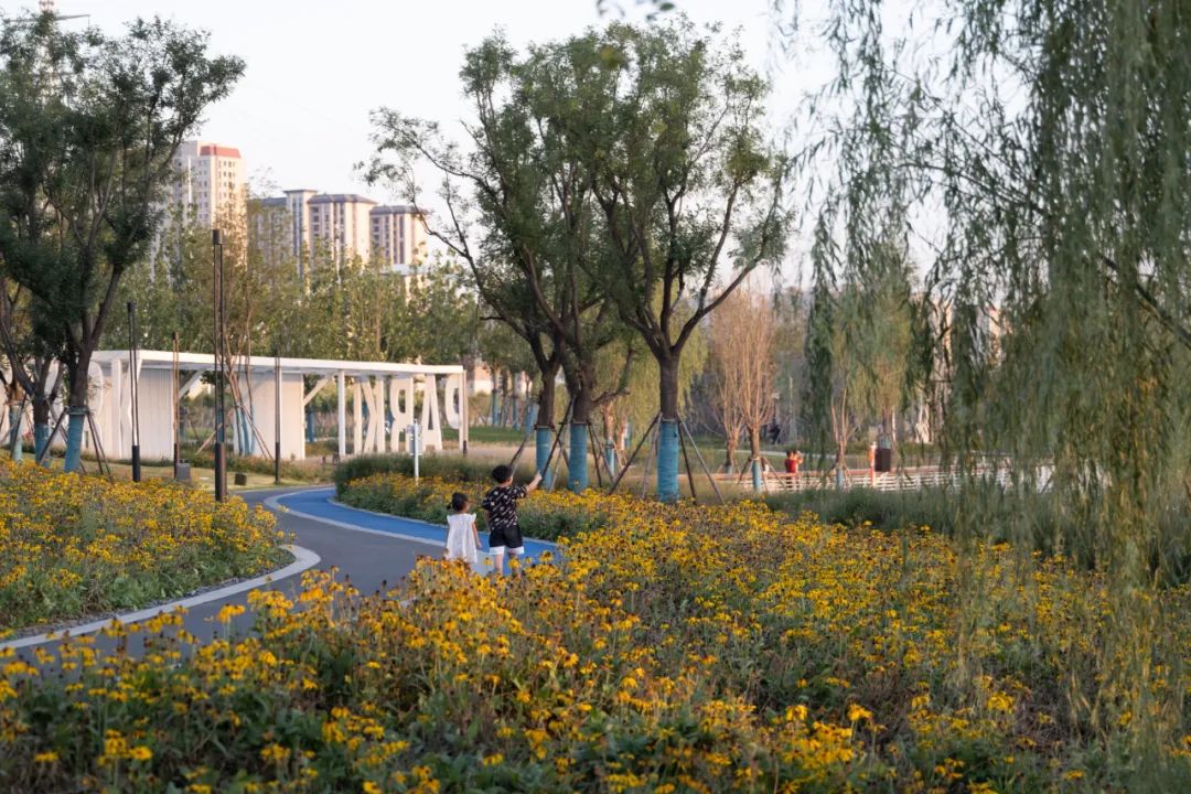 [分享]无界公园 | 周口万达芙蓉湖生态城市公园