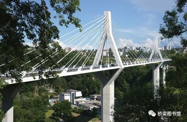 国外桥梁：瑞士弗里堡Pont de la Poy斜拉桥_22