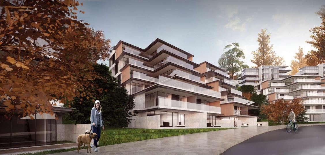 ​[重庆]山地别墅居住区规划设计文本PDF2020