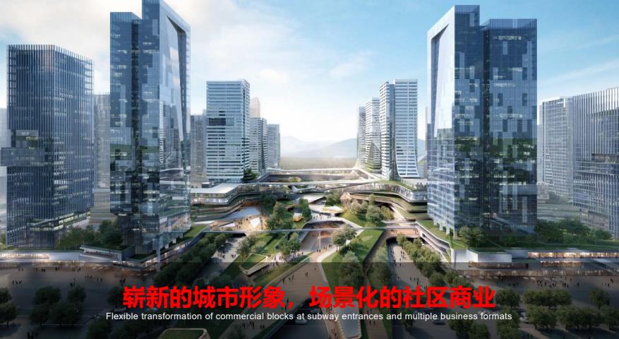 [安徽]高层+小高层+洋房保障房规划设计文本