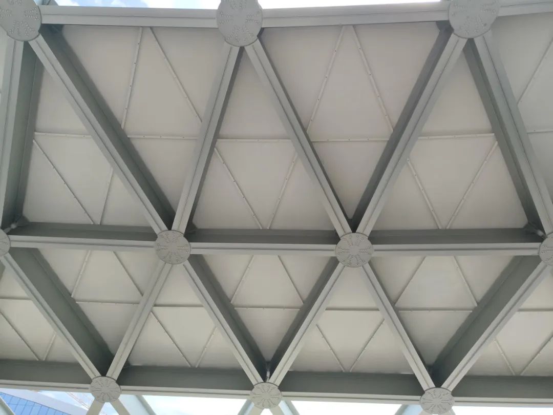 广西首个大跨铝合金网壳结构工程顺利完工-结构设计-钢结构