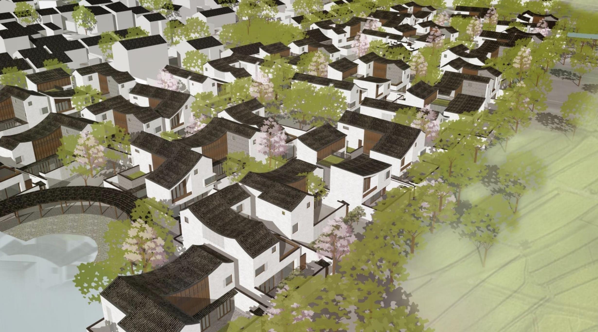 [浙江]乡村民居+民宿+康养庄园实践研究方案