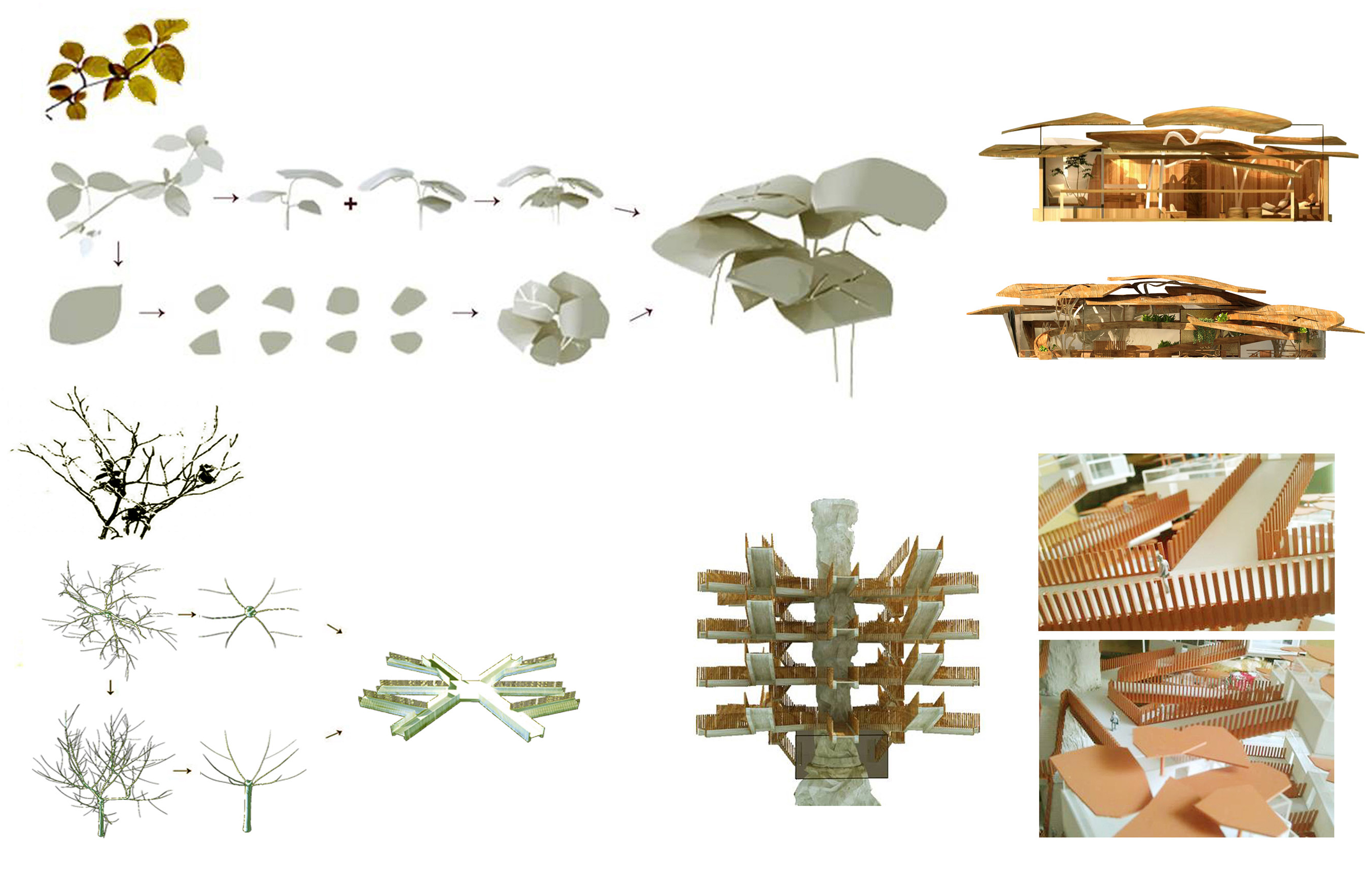 因树为屋--类自然酒店设计-建筑设计作品-筑龙建筑设计论坛