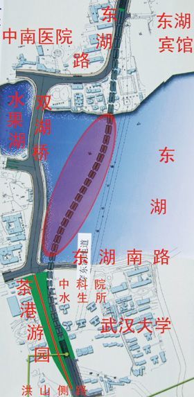 武汉东湖绿道二期规划资料下载-东湖隧道规划出炉 先打围堰抽干湖水后开挖