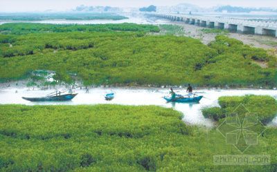 生态系统图资料下载-洛阳江口江畔湿地生态系统景观