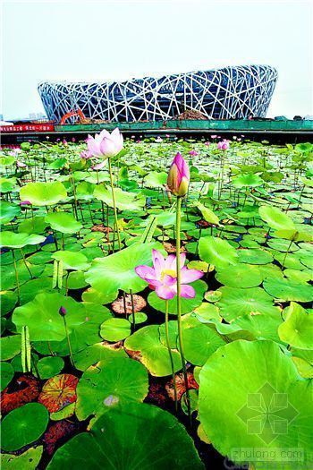 现代与传统的结合的建筑资料下载-奥运建筑：中国气势与新科技的结合