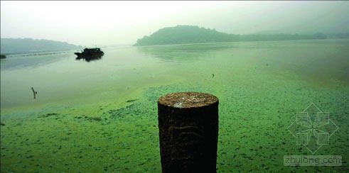 上海环保局长资料下载-11年治污难解太湖水污染“死结”