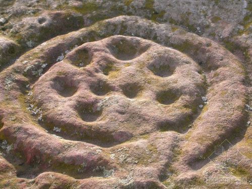 地雕图案cad资料下载-英国发现神秘而美丽的5000年前岩雕艺术