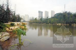 济南鲁能领秀城中央公园资料下载-盼了21年，龙头寺公园建成了