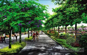 深圳市光明区城市绿道资料下载-深圳光明新区三条景观路开建在即