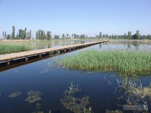 杭州西湿国家湿地公园资料下载-张掖国家湿地公园建设进展顺利