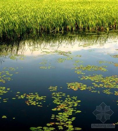 六大湿地公园资料下载-一湖清水 世界守护――鄱阳湖国家湿地公园
