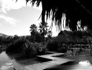 热带植物园设计资料下载-中科院西双版纳热带植物园申报5A景区