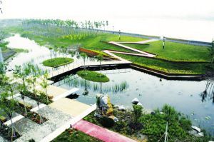 滨河公园植物施工图资料下载-汉沽滨河公园 建成向市民开放