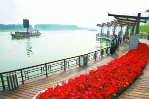 通州运河中心区资料下载-通州大运河森林公园开园 串起两岸六园十八景