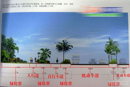 道路中间人行道资料下载-滨海西改造效果图曝光 已设计非机及人行道