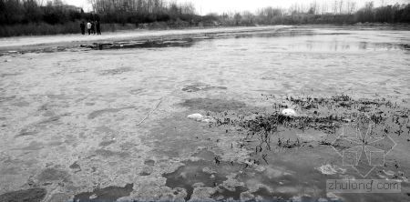 万科魅力之城郑州资料下载-郑州西流湖污染超标110倍 为当地水缸养一代人