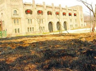 上万平米建筑资料下载-南京：游客随意扔烟头 公园内数百平米草地被烧焦