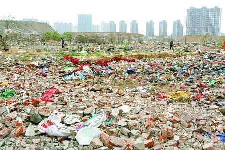 郑州双鹤湖中央公园资料下载-郑州一规划区变超级垃圾场 清理将耗资2亿元