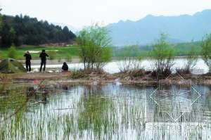 湿地生态修复区资料下载-北京湿地不足5万公顷 修复湿地行动已经展开