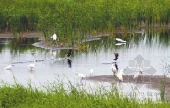 杭州西溪国家湿地公园旅游资料下载-杭州临江将打造国家级湿地生态保护区