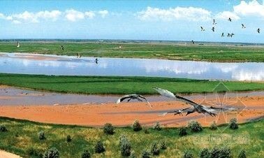 新疆湿地公园设计资料下载-塞外奇景：宁夏黄沙古渡国家湿地公园 